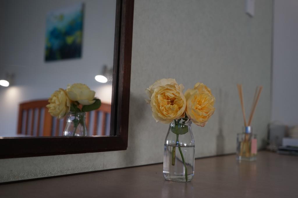 Tui Lodge Motel Christchurch Kültér fotó